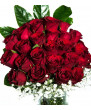 Büyülü Aşk 25 Kırmızı Güller